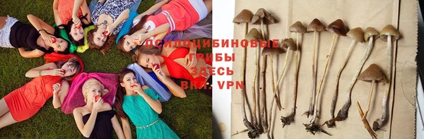дмт Няндома