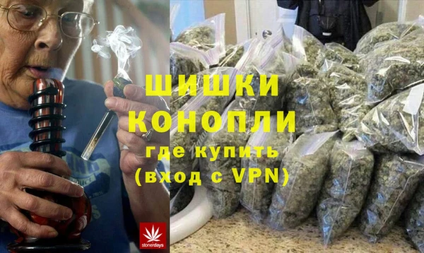 дживик Осинники