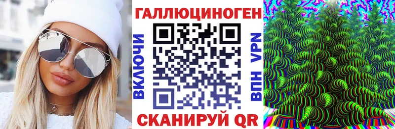 Псилоцибиновые грибы Cubensis  Партизанск 
