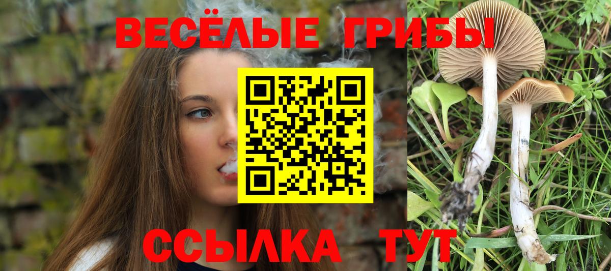 Галлюциногенные грибы мухоморы  Галлюциногенные грибы мицелий  Партизанск  Вход с VPN 